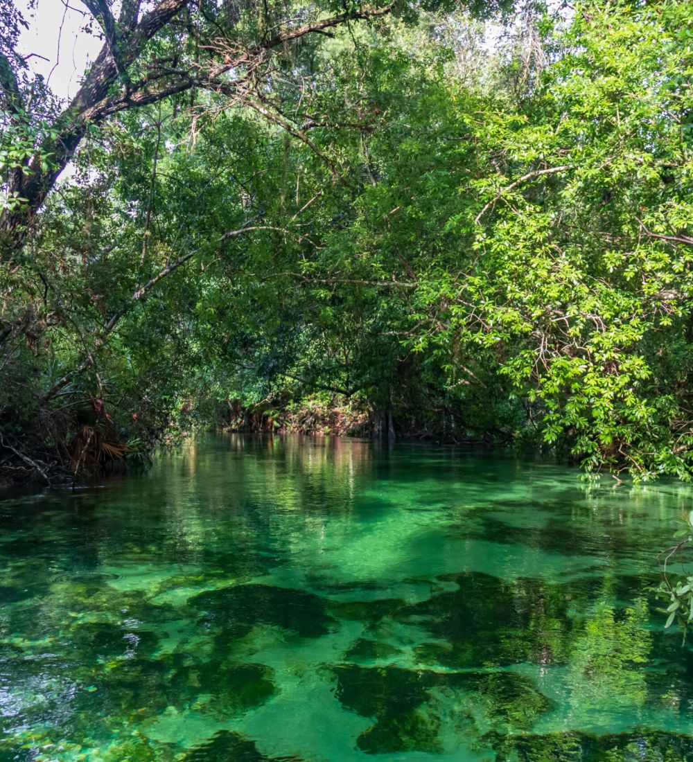 Weeki Wachee River | Weeki Wachee Vacation Rentals