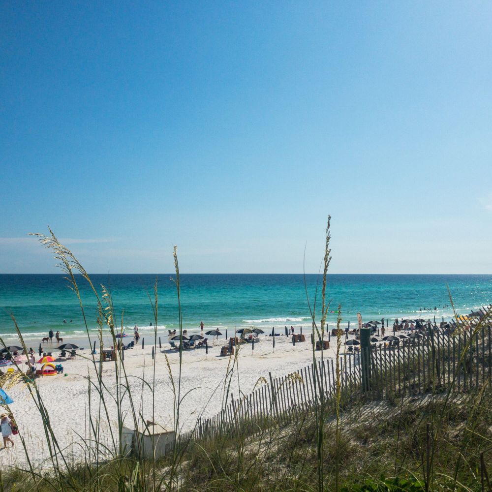 Blue Mountain Beach Vacation Rentals 