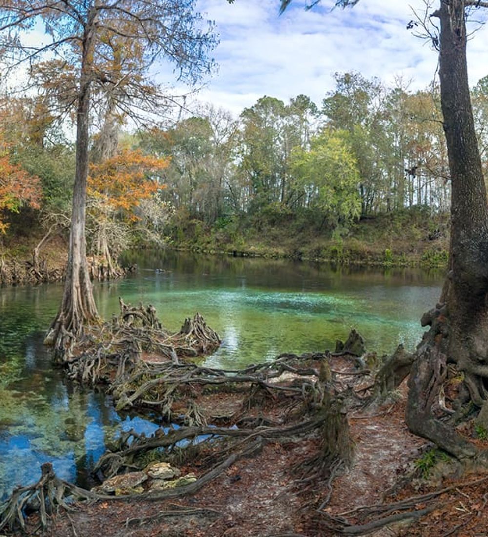 Withlacoochee River Trail