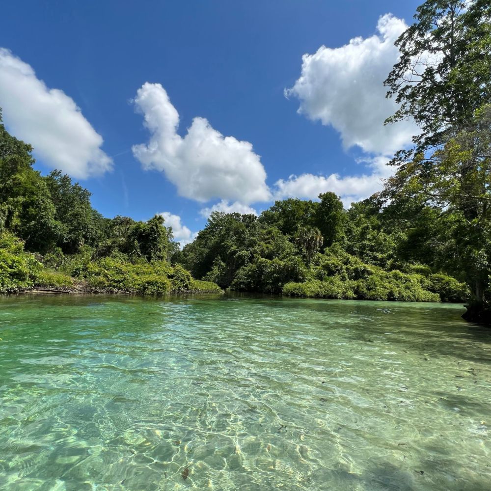 Weeki Wachee River | Weeki Wachee Vacation Rentals 
