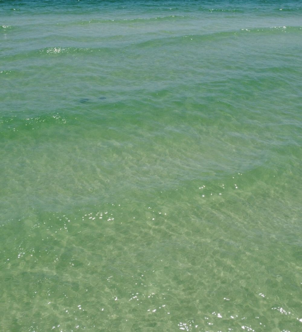 Panama City Beach Vacation Rentals | Emerald Coast Waters