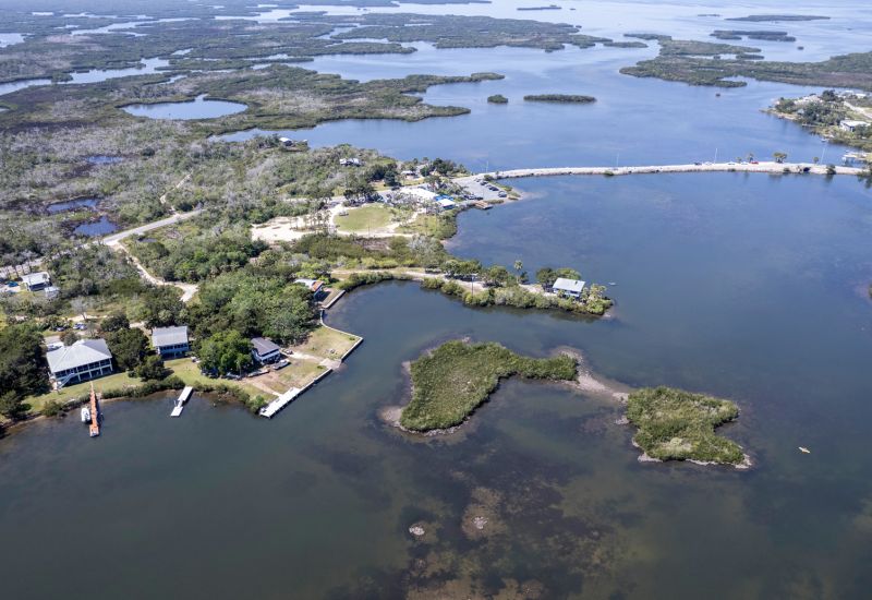 Ozello Vacation Guide: Your Ultimate Nature Coast Adventure cover image