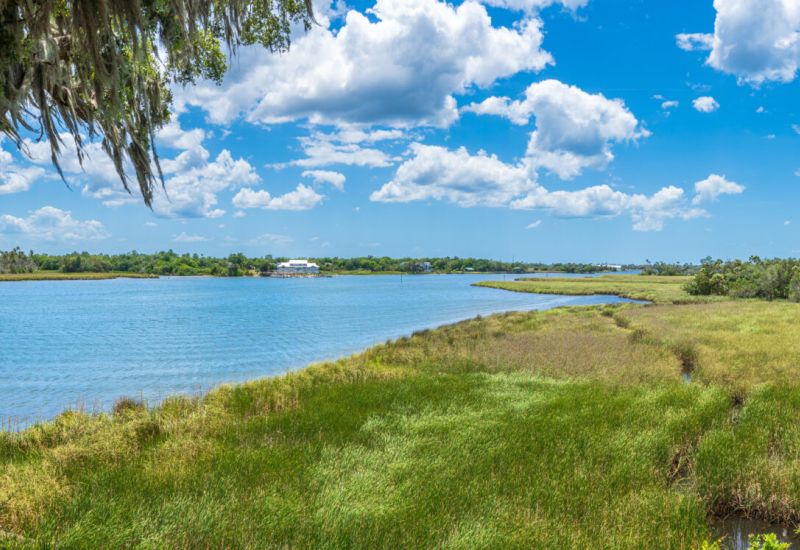 🌊 The Ultimate Guide to Crystal River, Florida: Manatees, Springs & Family Fun cover image