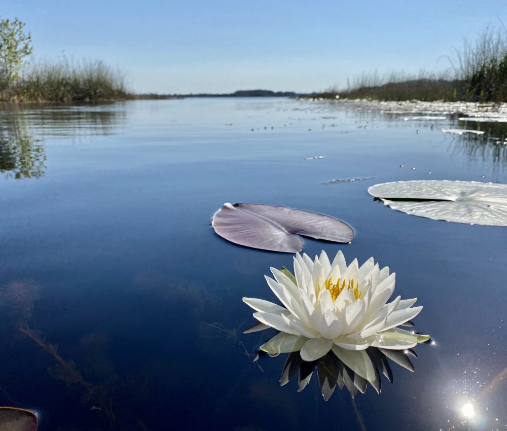 Hernando Vacation Rentals