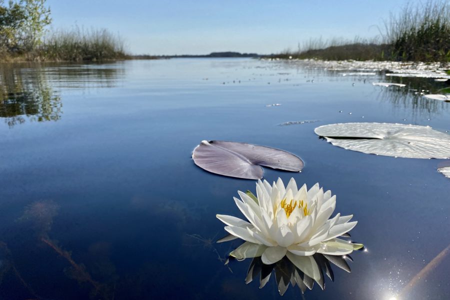 Hernando Vacation Rentals