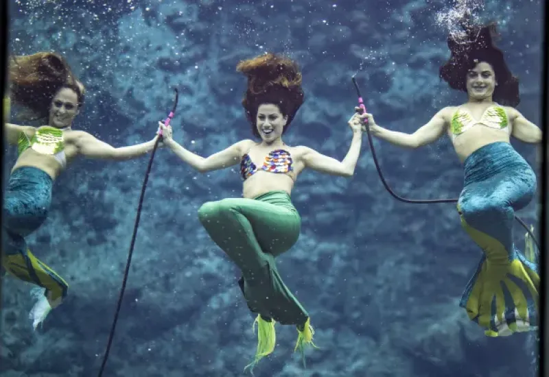 🌴☀️Your Complete Weeki Wachee Vacation Guide: Mermaids, Springs & Nature Coast Adventures cover image