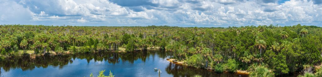 Weeki Wachee Springs | Weeki Wachee Vacation Guide